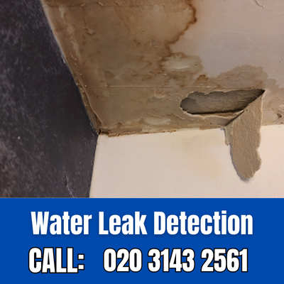 Expert Water Leak Detection Services in Bermondsey | Bermondsey Leak Detection